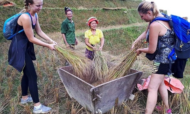 Du lịch kết hợp... làm nông ở Hà Giang