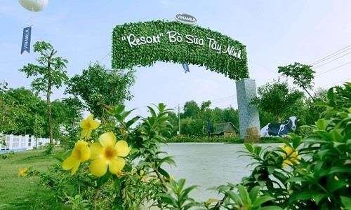 Tham quan Resort bò sữa Vinamilk, điểm đến hấp dẫn ở Tây Ninh