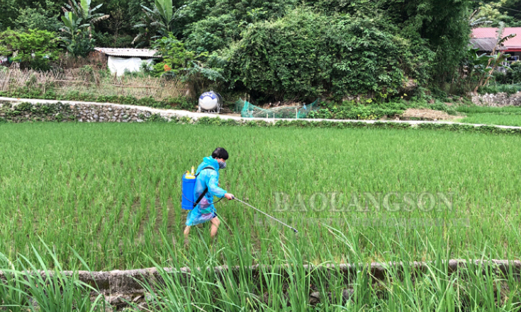 Nông dân thờ ơ với bảo hộ khi sử dụng thuốc bảo vệ thực vật