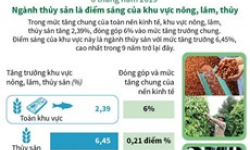 6 tháng qua: Ngành thủy sản là điểm sáng của khu vực nông, lâm, thủy