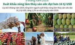 Xuất khẩu nông lâm thủy sản ước đạt hơn 16 tỷ USD