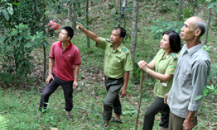 Đẩy mạnh công tác phối hợp bảo vệ rừng giáp ranh