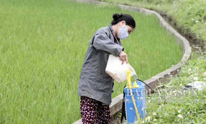 Lạm dụng thuốc bảo vệ thực vật: Lợi bất cập hại