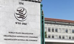 Diễn đàn SPIEF 2019: Nga kêu gọi tăng cường hiệu quả của WTO