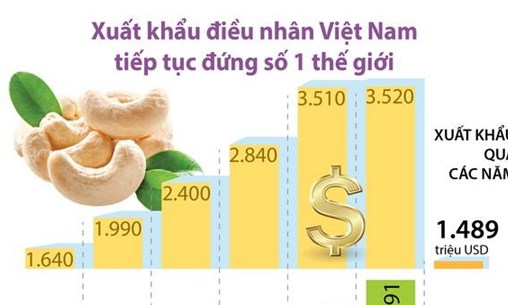 Xuất khẩu điều nhân Việt Nam tiếp tục đứng số 1 thế giới