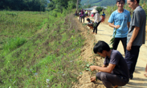 Phát huy vai trò hội viên nông dân trong xây dựng nông thôn mới