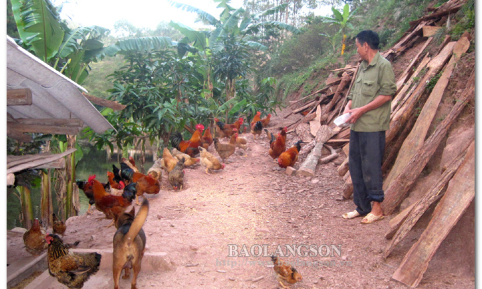 Hiệu quả phong trào thi đua “Cựu chiến binh gương mẫu”