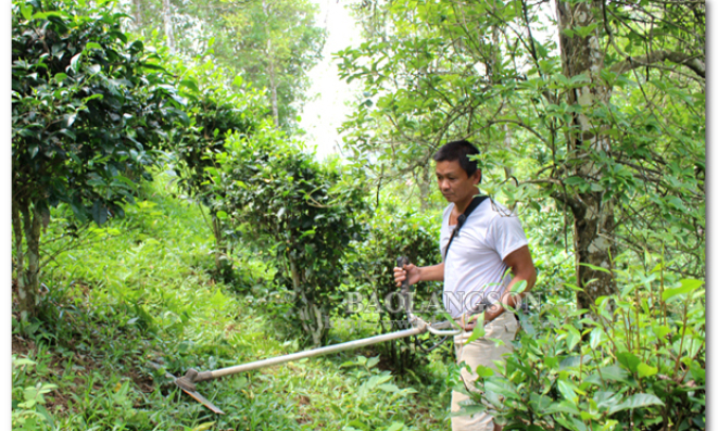 Bước chuyển ở Bình Gia