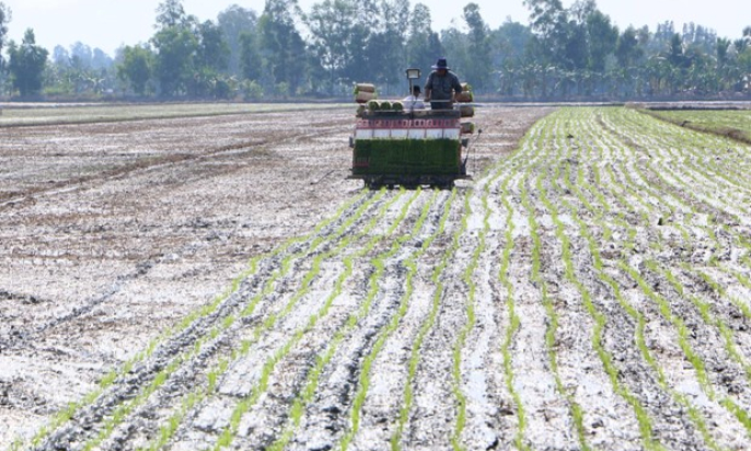 Tỉnh Trà Vinh đạt mức tăng trưởng kinh tế cao nhất ĐBSCL