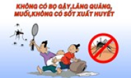 Khẩn trương triển khai biện pháp phòng và điều trị bệnh sốt xuất huyết