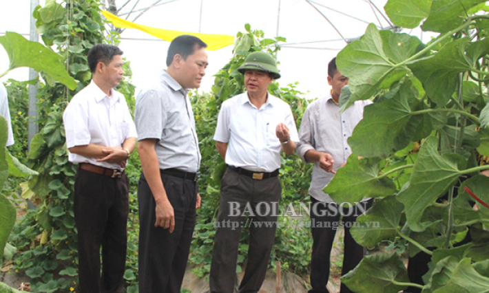 Đoàn công tác tỉnh Lạng Sơn khảo sát, học tập mô hình sản xuất nông nghiệp tại Phú Thọ