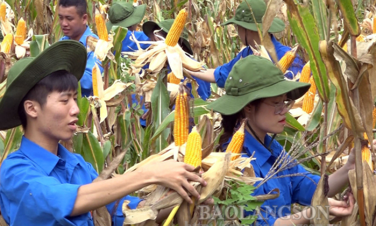 Chi Lăng: Sôi nổi chiến dịch tình nguyện hè