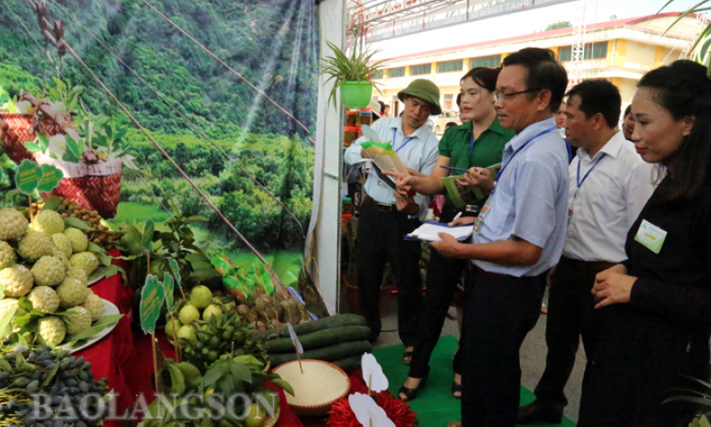 Xã Quang Lang đạt giải nhất Gian hàng đẹp tại Ngày hội na Chi Lăng