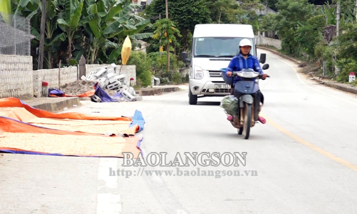 Phơi nông sản trên đường - mất an toàn giao thông