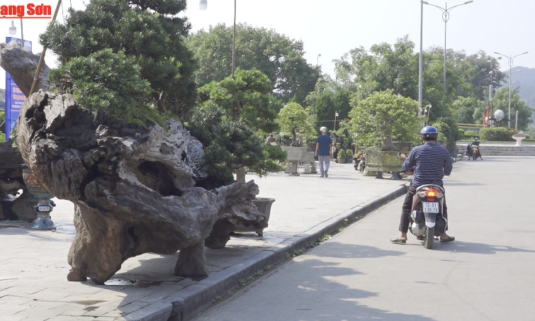 Gần 250 gian hàng trưng bày trong Tuần lễ Văn hóa - Du lịch - Thương mại Doanh nhân Lạng Sơn năm 2019