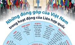 Những đóng góp của Việt Nam trong hoạt động của LHQ