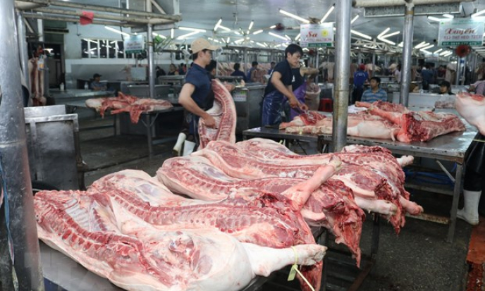 Chênh lệch giá cao, lợn miền Nam "tìm đường" ra Bắc
