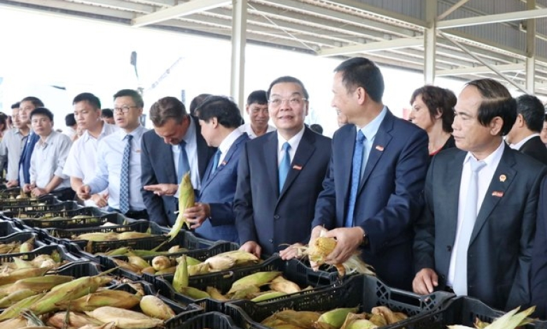 Trung tâm chế biến rau quả lớn nhất Tây Nguyên đi vào hoạt động