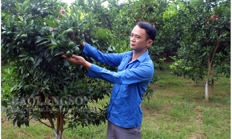 Huyện đoàn Văn Quan: Thực hiện tốt nhiệm vụ ủy thác vốn