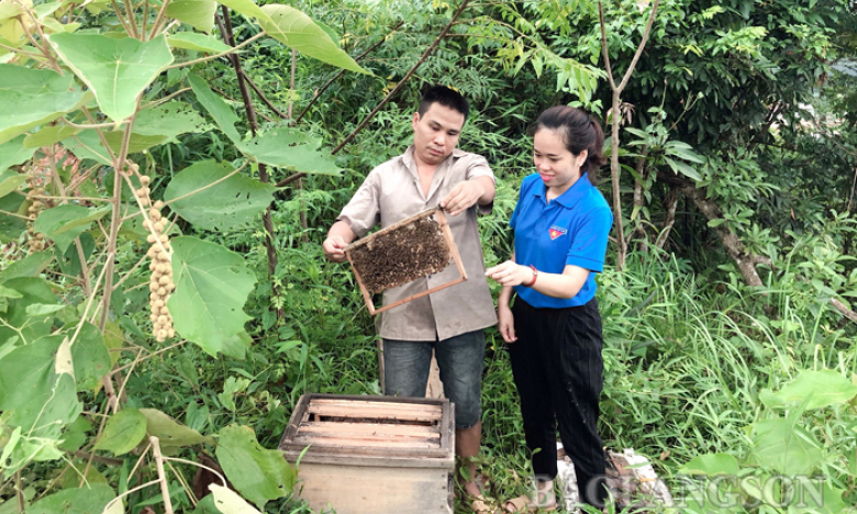 Khởi nghiệp từ bài thuốc dân gian