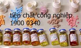 Nâng cao hiệu quả quản lý, kiểm soát tiền chất công nghiệp