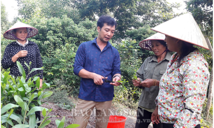 Hòa Thắng phát triển nghề ươm cây giống