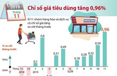 Chỉ số giá tiêu dùng tháng 11 năm 2019 tăng 0,96%