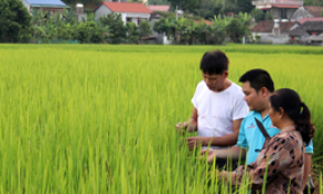 HTX Nông sản sạch Tràng Định: Điểm sáng liên kết tiêu thụ nông sản, đặc sản