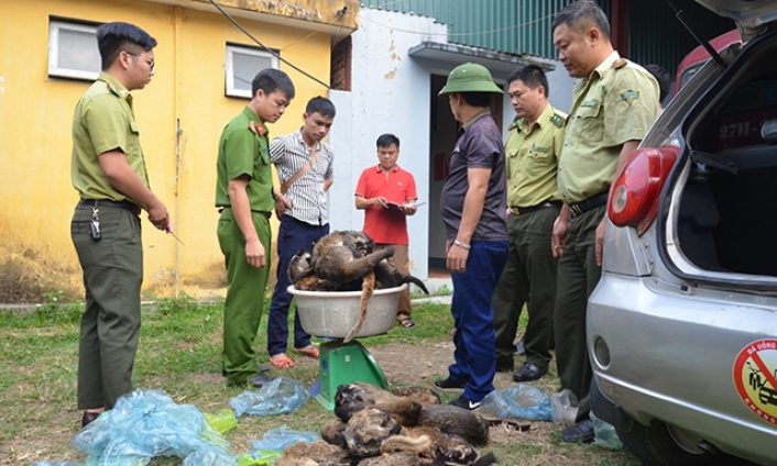 Thu giữ hàng trăm kg động vật hoang dã