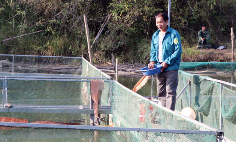 Quỹ hỗ trợ nông dân: Tiếp sức cho hội viên phát triển kinh tế