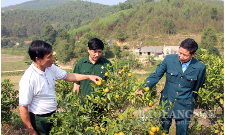 Lan toả phong trào thi đua cựu chiến binh gương mẫu