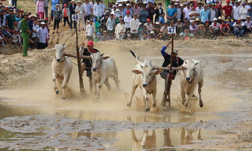 Du lịch An Giang: Vừa thu hút, vừa giữ chân du khách