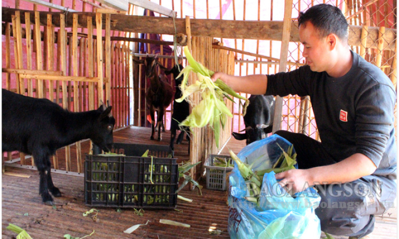 Học Bác tinh thần lao động hăng say