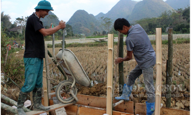 Phát triển thủy sản: Cách làm ở Đồng Ý