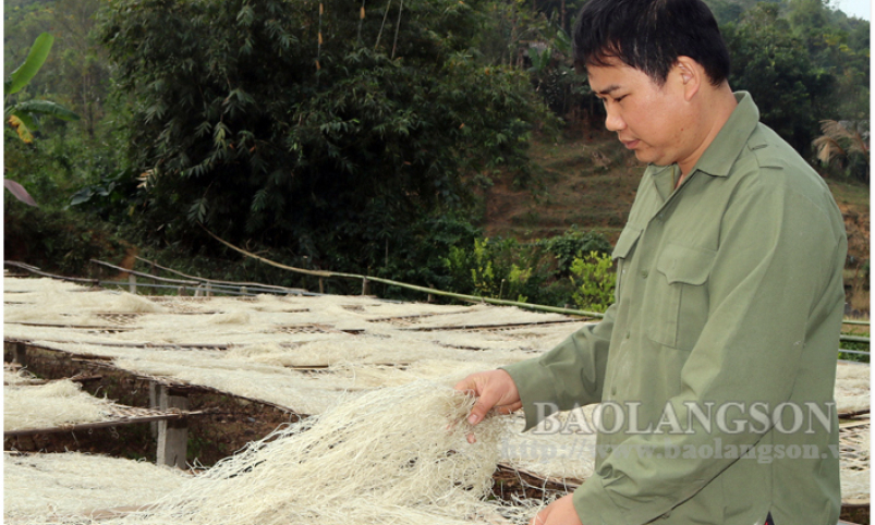 Công ty Cổ phần đầu tư và phát triển Ba Sơn: Nâng cao chất lượng sản phẩm miến dong