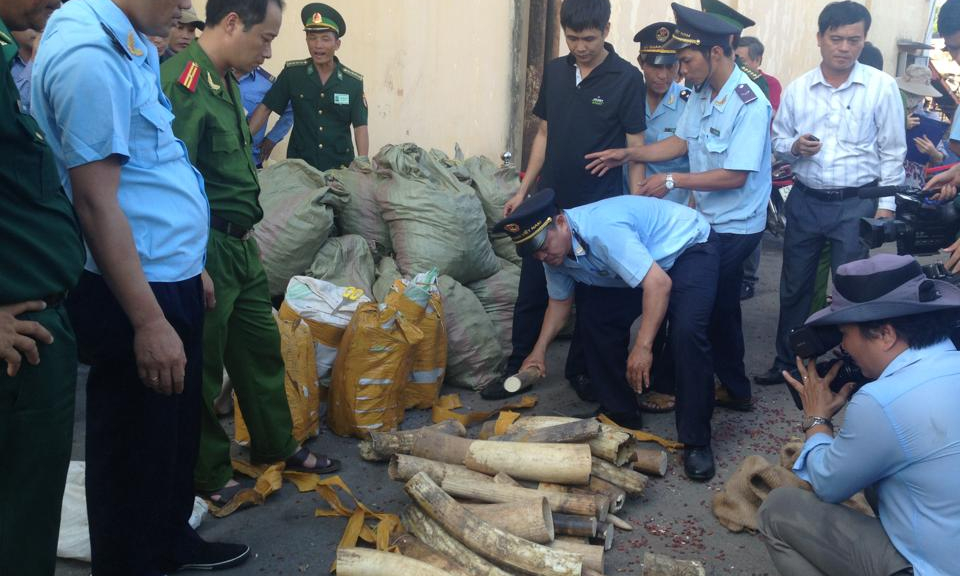 Hải quan đẩy mạnh thực thi pháp luật về bảo tồn đa dạng sinh học