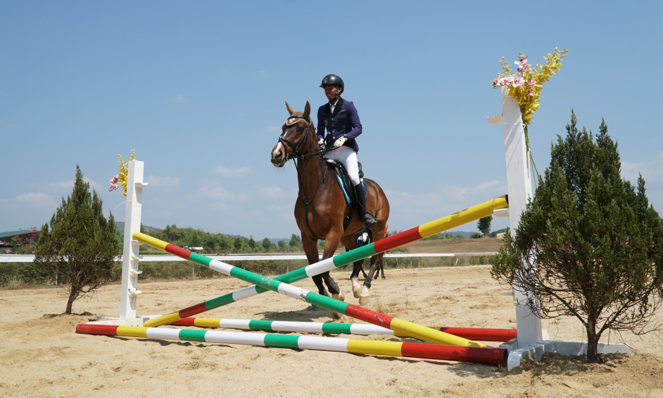 Ra mắt Câu lạc bộ cưỡi ngựa Olympic tại Lâm Đồng