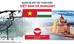 Quan hệ đối tác toàn diện Việt Nam và Hungary