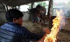 Miền Bắc có nơi rét đậm, rét hại, vùng núi cao đề phòng băng giá