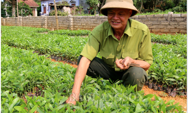 Nêu gương sáng phát triển kinh tế