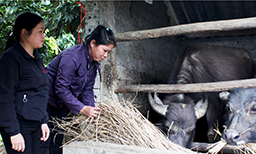 Công tác thi đua - khen thưởng ngoài ngành: Góp phần nâng cao hoạt động tín dụng chính sách