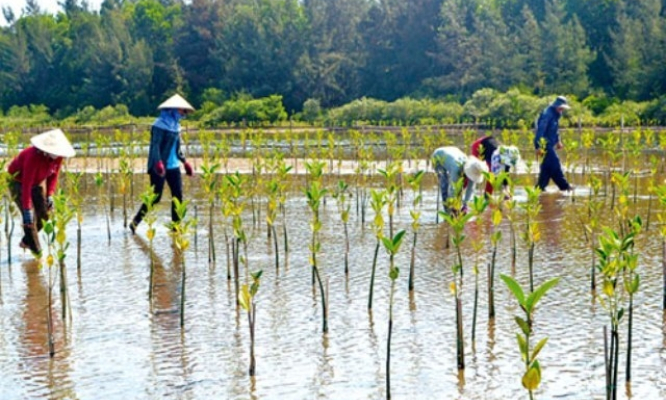 Viện trợ không hoàn lại hơn 30 triệu USD để Việt Nam ứng phó với biến đổi khí hậu