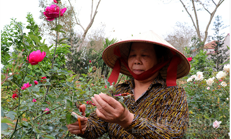 Tăng gấp đôi hạn mức và thời gian vay hỗ trợ tạo việc làm: Thêm cơ hội cho người vay vốn khởi nghiệp