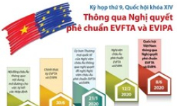 Quốc hội thông qua Nghị quyết phê chuẩn EVFTA và EVIPA