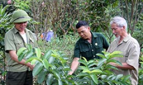 Cựu chiến binh xã Chiến Thắng: Thành quả từ “Dân vận khéo”