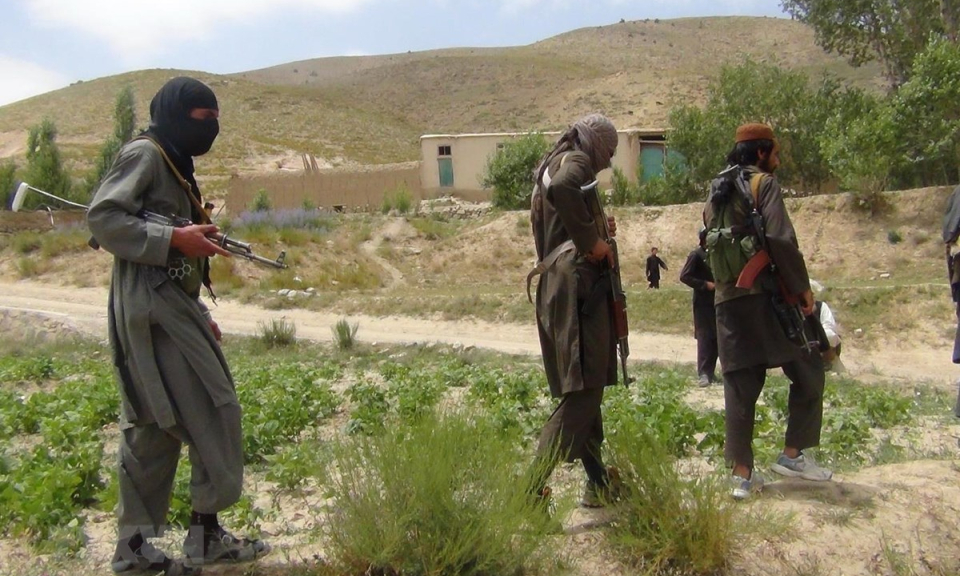 Afghanistan và Mỹ hoan nghênh tuyên bố ngừng bắn của Taliban