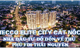 Tecco Elite City cất nóc: Nhà đầu tư đổ dồn về thủ phủ FDI Thái Nguyên