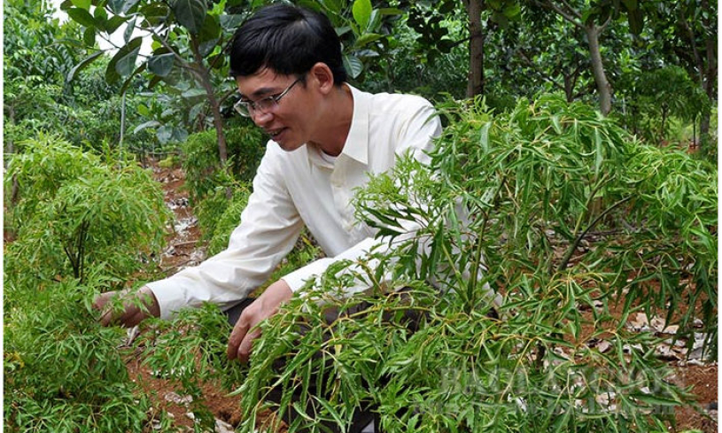 Từ vùng đất nghèo thành miền quê đáng sống