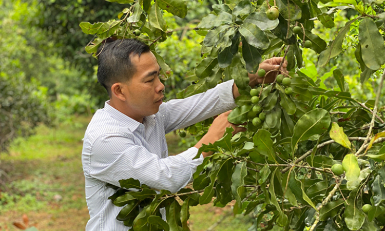 Xây dựng nông thôn mới tại vùng khó khăn, đồng bào dân tộc thiểu số