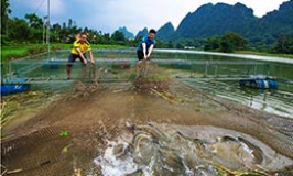 Văn Quan: Bước chuyển tích cực trong công tác giảm nghèo